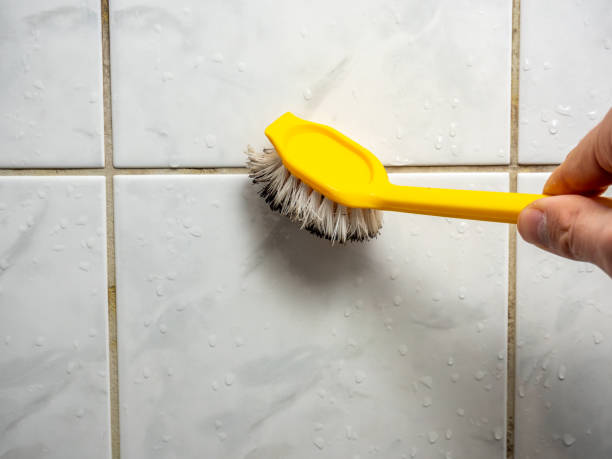 Best Affordable Mold Removal  in Wliamsvle, IL