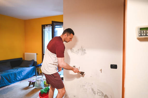 Best Office Mold Removal Services  in Wliamsvle, IL
